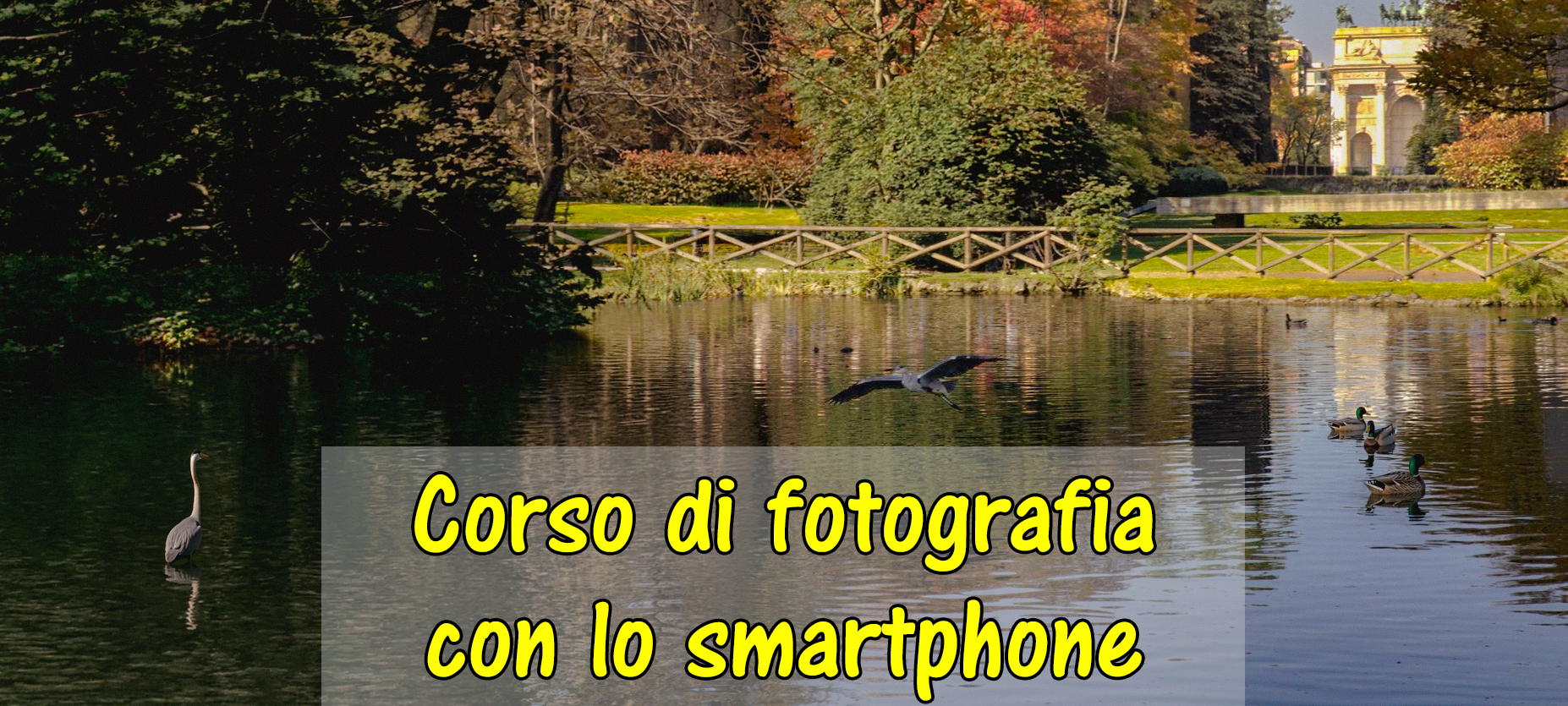 Corso di fotografia con il telefono: fiori, tramonti e natura in città
