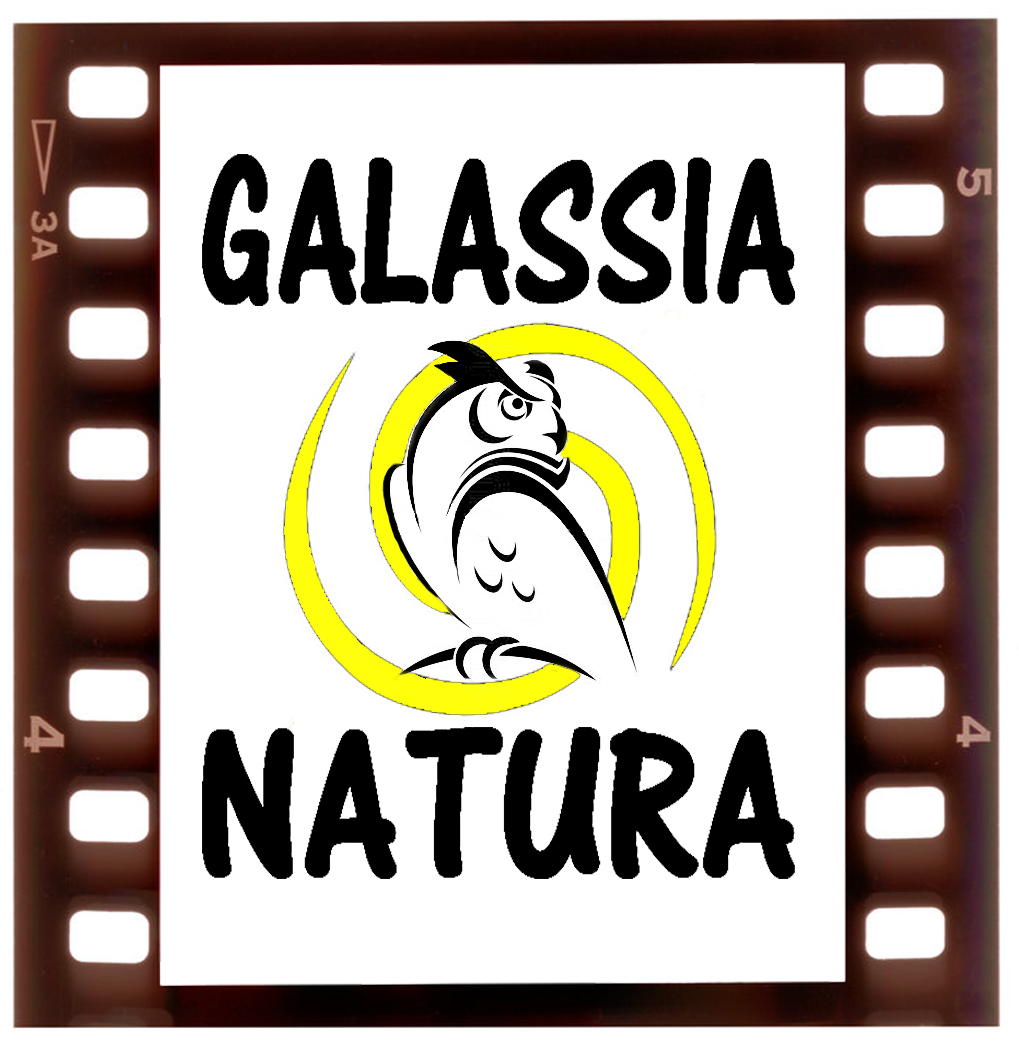 Galassia Natura